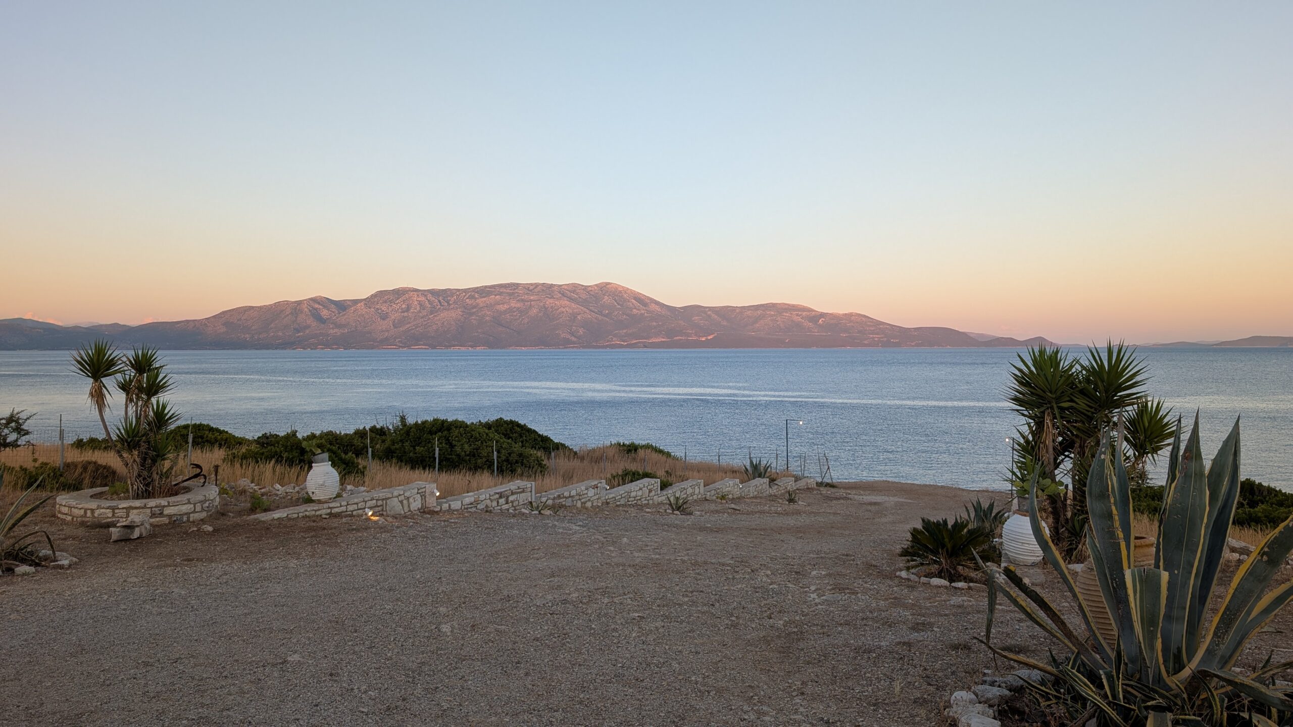dusk on mainland with plant in front